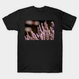 Moody lavender flowers T-Shirt